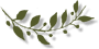 640?wx_fmt=png