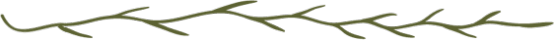 640?wx_fmt=png
