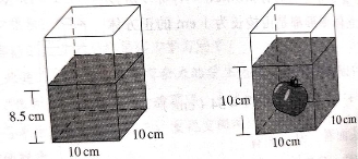 13233049095169104
