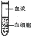 学科网(www.zxxk.com)--教育资源门户，提供试卷、教案、课件、论文、素材及各类教学资源下载，还有大量而丰富的教学相关资讯！
