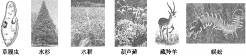 21世纪教育网 -- 中国最大型、最专业的中小学教育资源门户网站