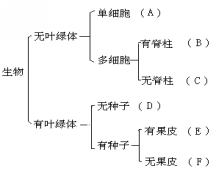 21世纪教育网 -- 中国最大型、最专业的中小学教育资源门户网站