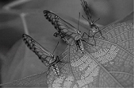 菁优网:http://www.jyeoo.com