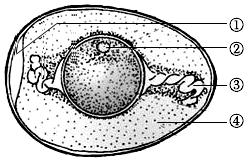 菁优网:http://www.jyeoo.com