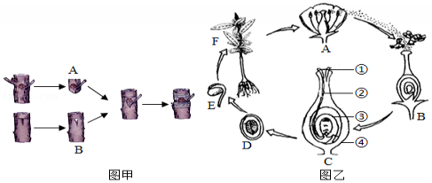 菁优网:http://www.jyeoo.com