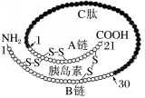 C:\Users\Administrator\Desktop\步步高一轮\全书完整的Word版文档\新建文件夹\K102.TIF
