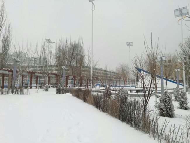 14.jpg