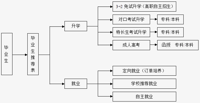 毕业生去向流程图.jpg