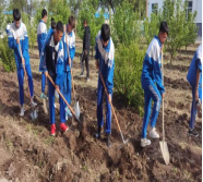 1652924432231198.png image.png