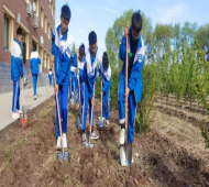 1652924441766135.png image.png