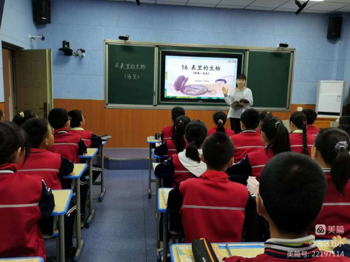 图片 5.png